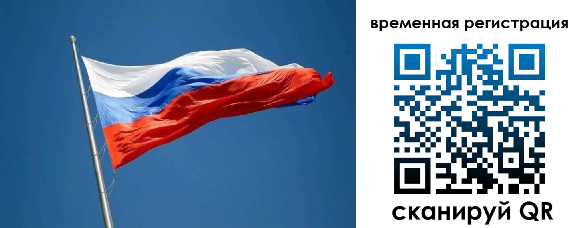 прописка в Оленегорске